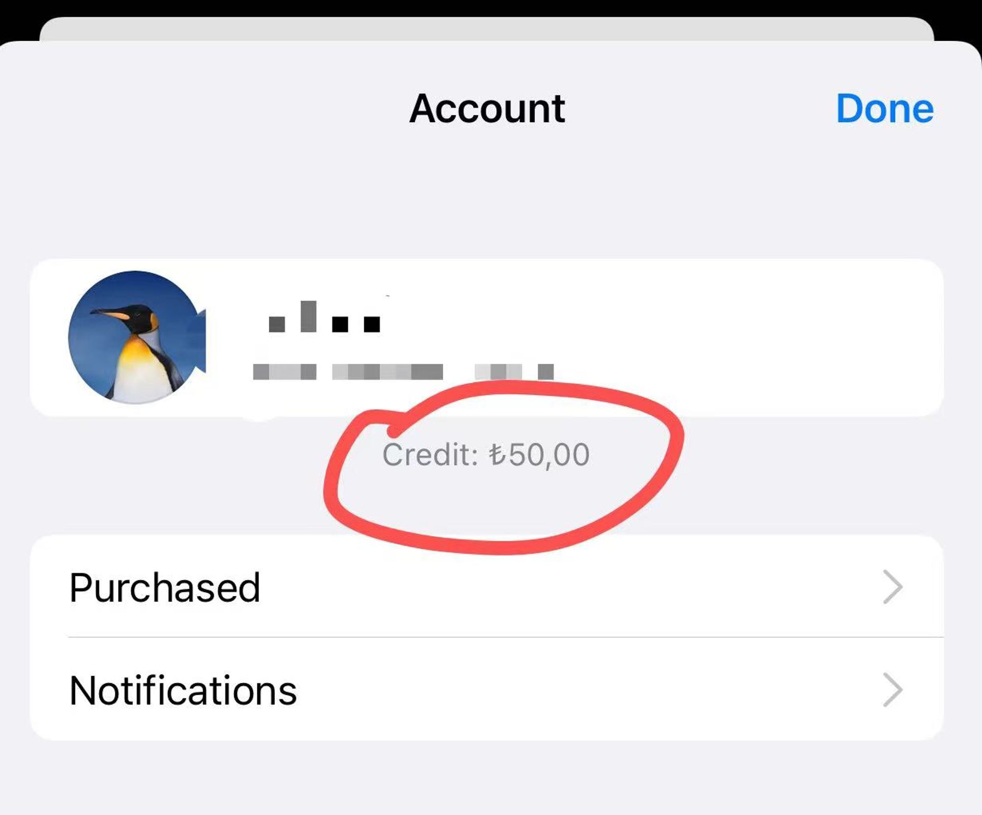 土耳其 Apple 礼品卡订单记录