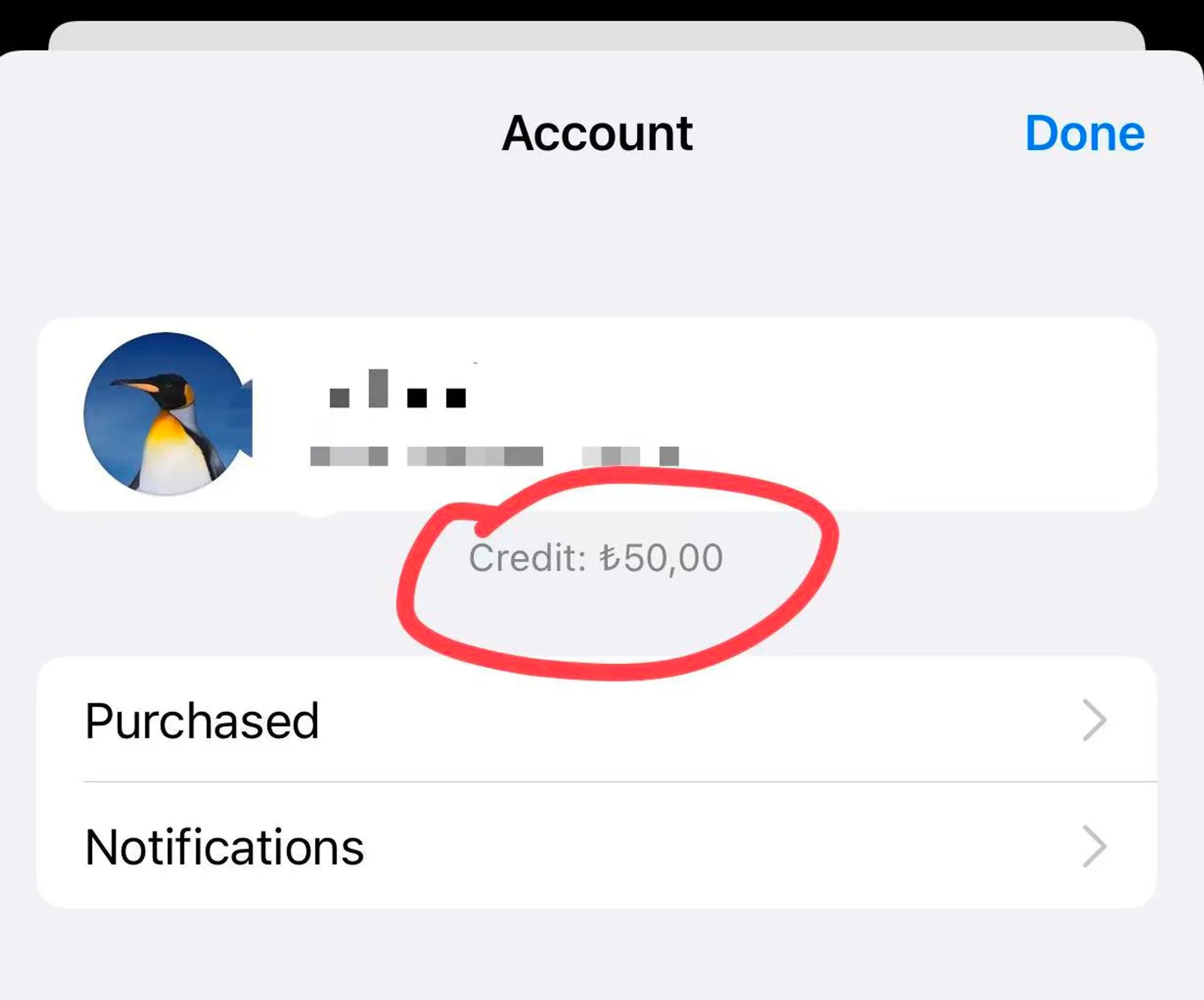 土耳其 Apple 礼品卡订单记录